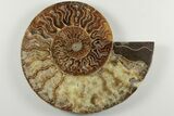 Cut & Polished, Agatized Ammonite Fossil - Madagascar #200143-4